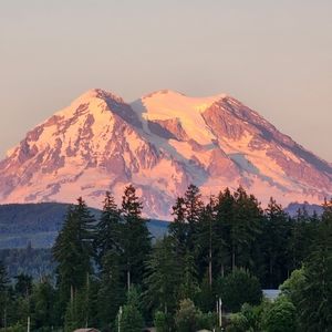 Meet your Posher, Shane